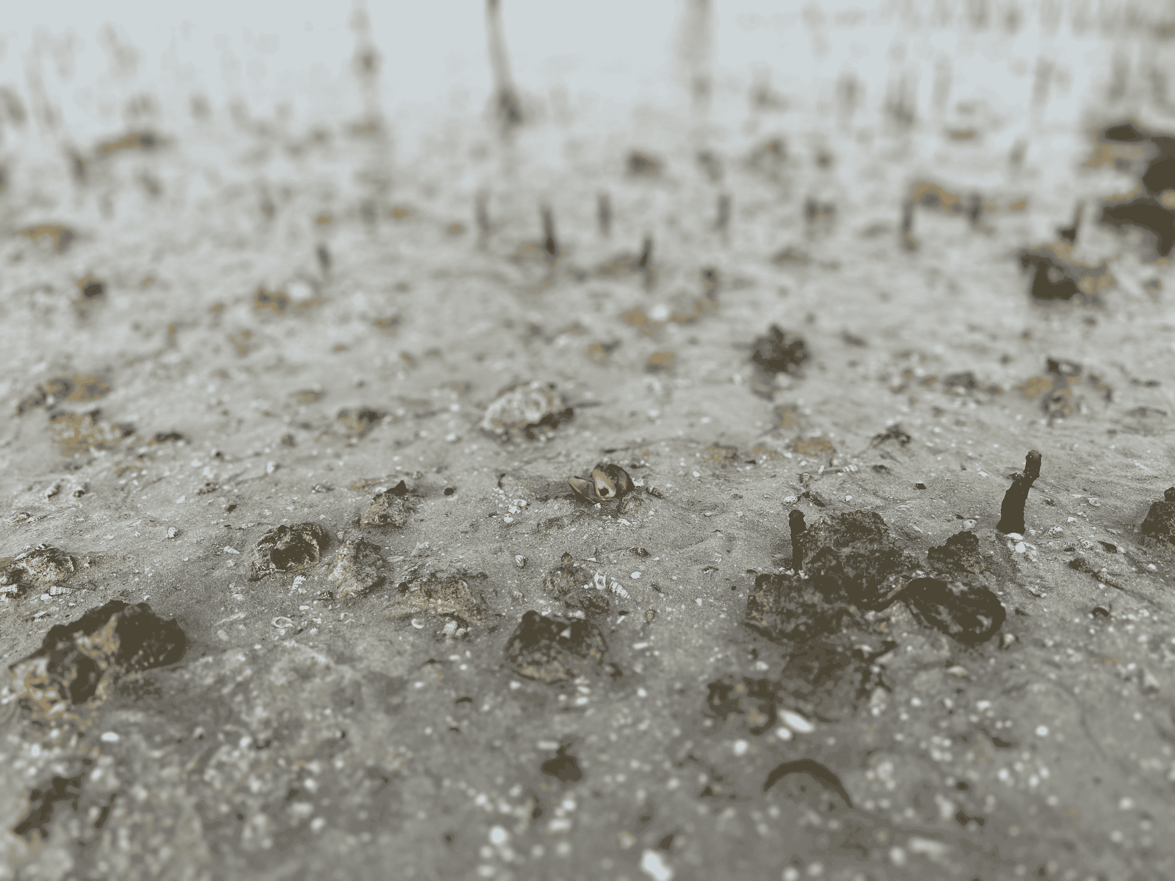 Every Restoration Project Starts with a Single Seed