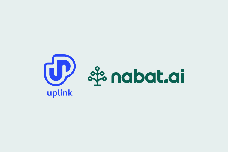 Nabat named one of 10 winners of World Economic Forum UpLink Scaling Land Restoration Challenge